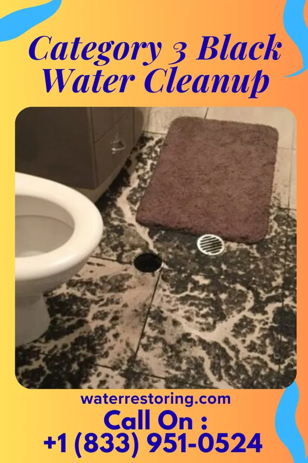 Category 3 Black Water Cleanup in Boones Mill, VA