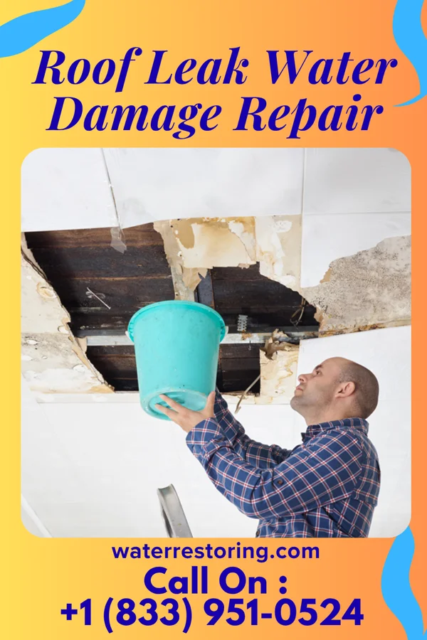 Roof Leak Water Damage Repair in Boones Mill, VA