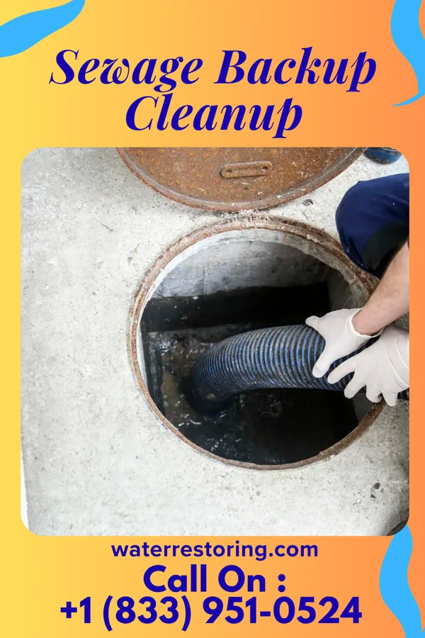 Sewage Backup Cleanup in Boones Mill, VA